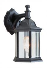 Trans Globe 4349 BK - 1 LIGHT OUTDOOR LANTERN